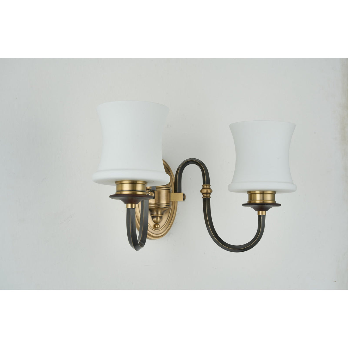 
Ebonelle Opal Glass, Blackened Brass and Antique Brass Wall Sconce